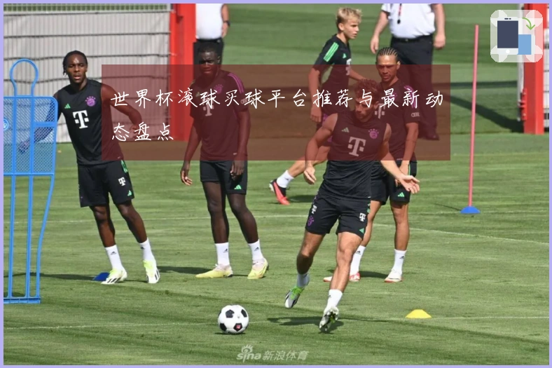 世界杯滚球买球平台推荐与最新动态盘点
