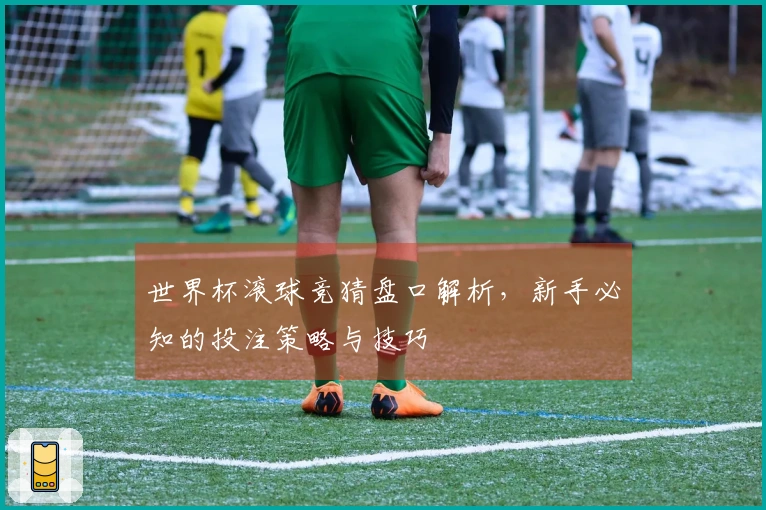 世界杯滚球竞猜盘口解析，新手必知的投注策略与技巧